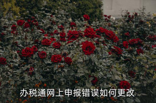 更改辦稅人什么網站，國稅變更財務人員在哪里變更稅控盤上可以更改嗎