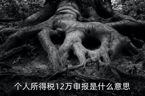 申報(bào)個(gè)稅是什么意思，12萬(wàn)以上個(gè)人所得稅申報(bào)是什么意思