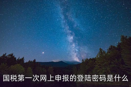 國稅登錄賬號密碼是什么意思，國稅第一次網上申報的登陸密碼是什么