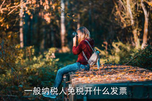 一般納稅人領(lǐng)什么票，一般納稅人免稅開什么發(fā)票