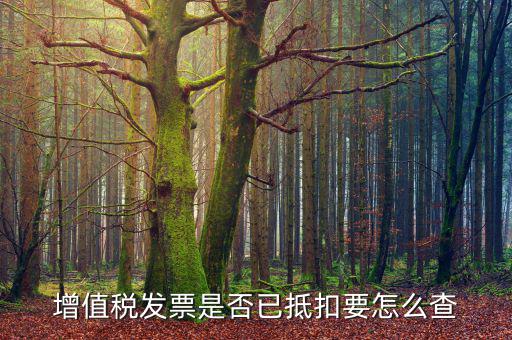進項抵扣發(fā)票什么查，增值稅發(fā)票是否已抵扣要怎么查