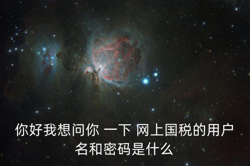 稅號和密碼是什么，國稅第一次網(wǎng)上申報(bào)的登陸密碼是什么