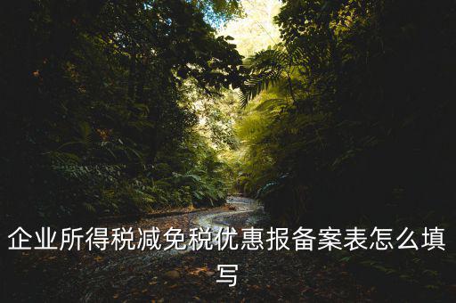 什么是稅收優(yōu)惠備案表，企業(yè)所得稅優(yōu)惠備案表填寫急