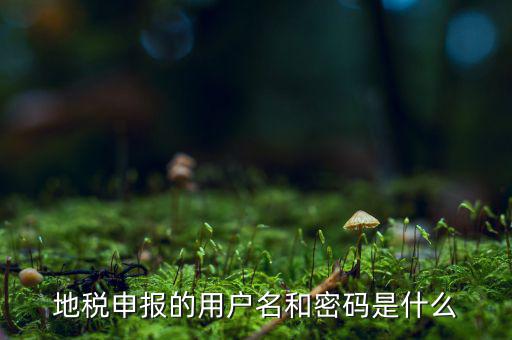 杭州地稅用戶名是什么意思，地稅的用戶名是什么