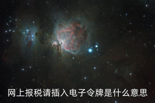 報(bào)稅數(shù)字證書口令是什么意思，網(wǎng)上報(bào)稅請插入電子令牌是什么意思