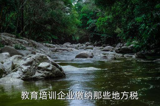 教育培訓(xùn)班要交什么稅，教育培訓(xùn)企業(yè)繳納那些地方稅