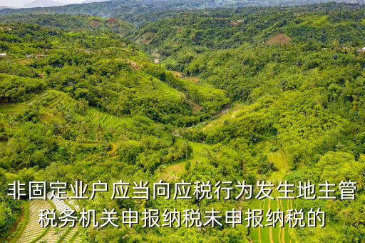 非固定業(yè)戶(hù)應(yīng)當(dāng)向應(yīng)稅行為發(fā)生地主管稅務(wù)機(jī)關(guān)申報(bào)納稅未申報(bào)納稅的