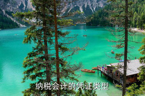 應(yīng)納稅憑證種類是什么意思，總賬里關(guān)于記賬憑證的種類和號(hào)數(shù)是什么意思