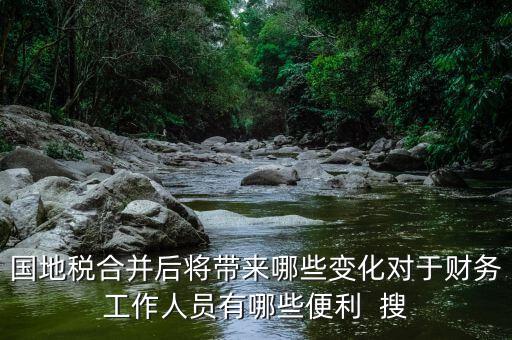 國地稅合并后將帶來哪些變化對于財務(wù)工作人員有哪些便利  搜