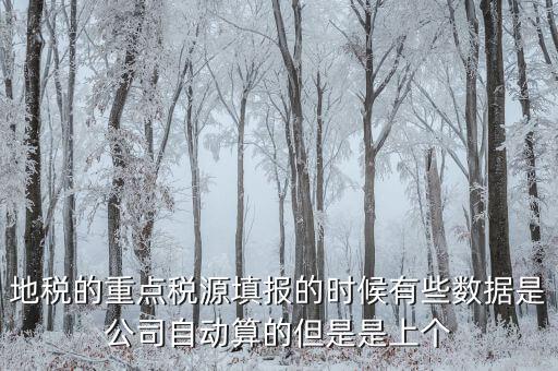 為什么重點稅源是上個月的數(shù)據(jù)，地稅的重點稅源填報的時候有些數(shù)據(jù)是公司自動算的但是是上個