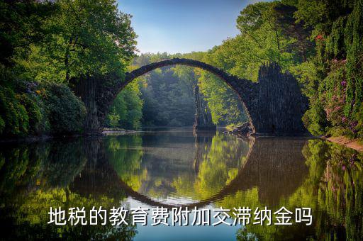 教育費(fèi)附加為什么不用交滯納金，地稅的教育費(fèi)附加交滯納金嗎