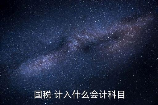 國(guó)稅申報(bào)記入什么科目，付國(guó)稅應(yīng)計(jì)入什么科目求解啊