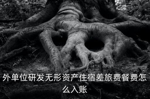 外單位研發(fā)無形資產住宿差旅費餐費怎么入賬