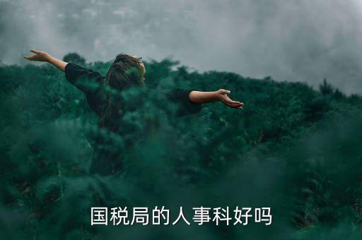 國稅人事科做什么，縣國稅局的人事歸哪里管基層分局的級別