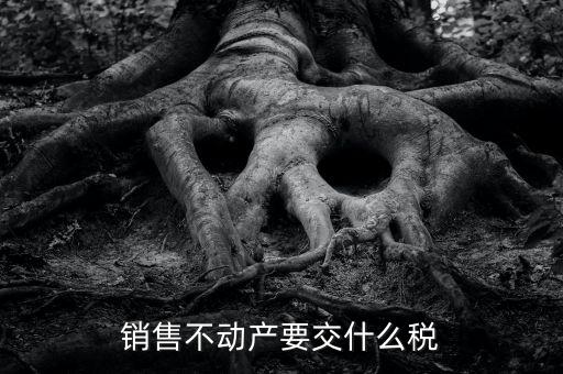 出售不動產(chǎn) 交什么稅，銷售不動產(chǎn)要交什么稅