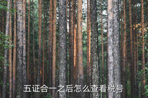 五證合一后納稅人識別號是什么，五證合一之后怎么查看稅號