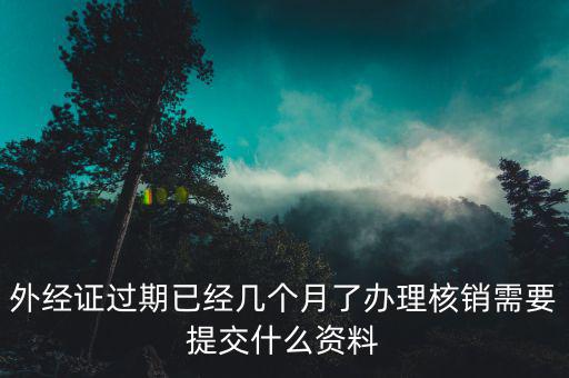 上海外經(jīng)證核銷資料要些什么，外經(jīng)證過期已經(jīng)幾個月了辦理核銷需要提交什么資料