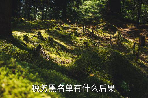 稅收黑名單制度是什么，關于上了稅務黑名單影響出境嗎