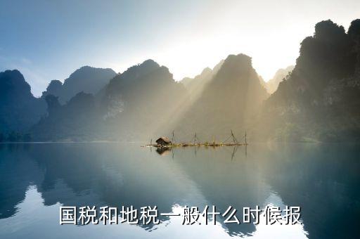 國稅和地稅一般什么時候報(bào)