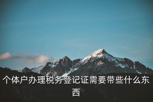 個(gè)體稅務(wù)登記證需要什么材料，個(gè)體戶辦理稅務(wù)登記證需要帶些什么東西