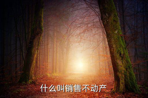 銷售不動(dòng)產(chǎn)構(gòu)筑物是什么，計(jì)算交納稅金時(shí)企業(yè)銷售房屋建筑物等不動(dòng)產(chǎn)按照稅法的有關(guān)