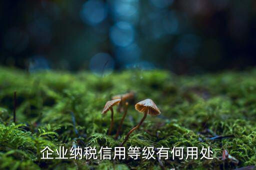 納稅等級有什么用，請問什么是分級別納稅信用單位怎么得到這種稱號得到了又有啥好