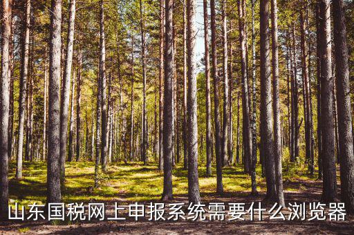 國稅網(wǎng)站用什么瀏覽器，山東國稅網(wǎng)上申報(bào)系統(tǒng)需要什么瀏覽器
