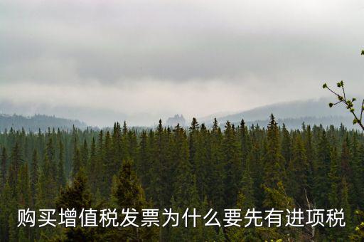為什么要買進(jìn)項(xiàng)票，購(gòu)買增值稅發(fā)票為什么要先有進(jìn)項(xiàng)稅