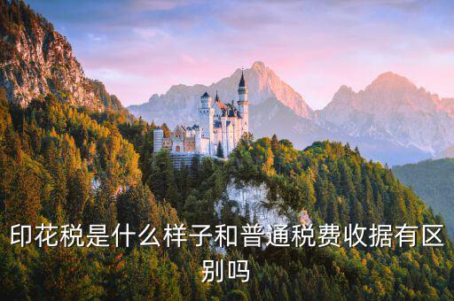 稅花什么樣，印花稅是什么樣子和普通稅費收據(jù)有區(qū)別嗎