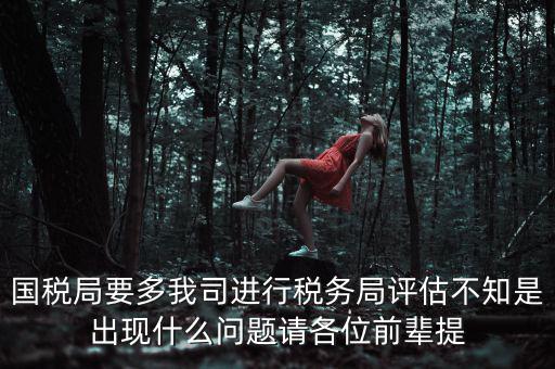 國稅評估局是干什么的，國稅局是做什么的說簡單點兒吧謝謝