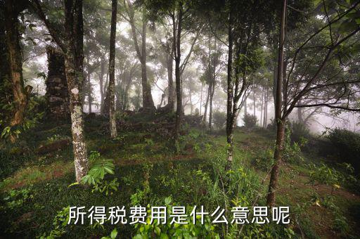 所得稅支出什么意思，企業(yè)所得稅是什么意思