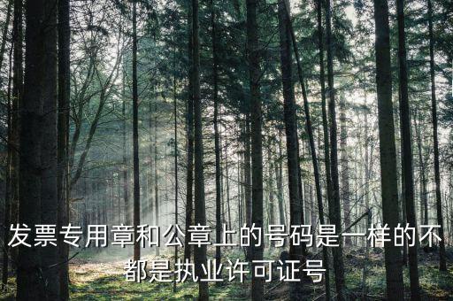 公章和發(fā)票章號碼是什么，發(fā)票專用章和公章上的號碼是一樣的不都是執(zhí)業(yè)許可證號