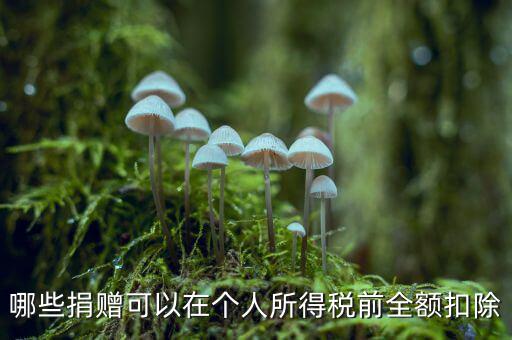 什么捐贈(zèng)可以稅前扣除，求助企業(yè)在所得稅前可以扣除的捐贈(zèng)支出