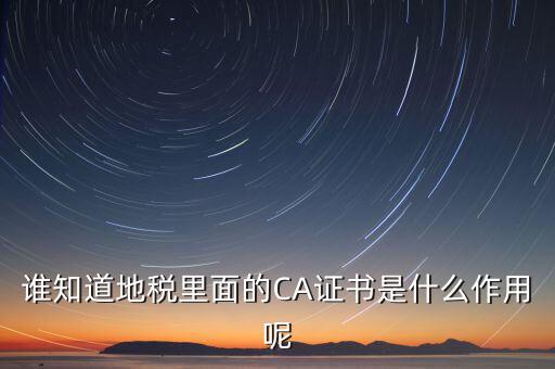 地稅安徽ca是什么意思，什么是國稅CA和地稅CA他是具體干什么用的