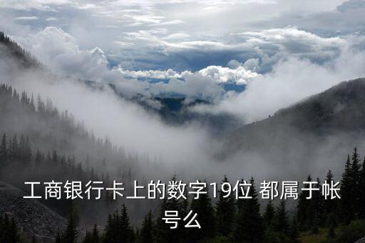 工行19位賬號應用號是什么，請解釋工商銀行19位帳號的組成含義