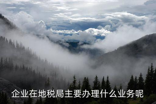 廣州地稅辦理什么業(yè)務(wù)，廣州稅務(wù)登記