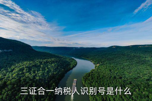 三證合一稅務(wù)識(shí)別號(hào)是什么，三證合一后納稅人識(shí)別號(hào)是什么意思