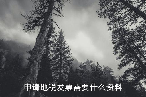 去地稅領(lǐng)發(fā)票需要什么資料，申請(qǐng)地稅發(fā)票需要什么資料