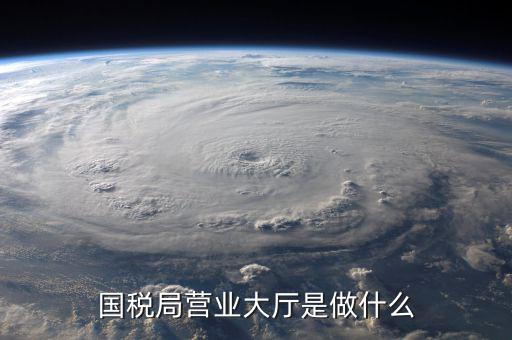 辦稅服務(wù)廳都做些什么，辦稅服務(wù)廳的基本服務(wù)包括哪些