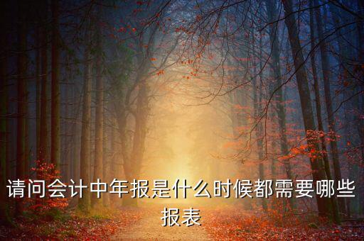報稅年報都準(zhǔn)備什么時候，年報需要報什么表什么時間報