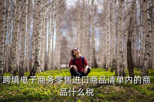 跨境電商應(yīng)交什么稅，跨境電商要繳納哪些稅