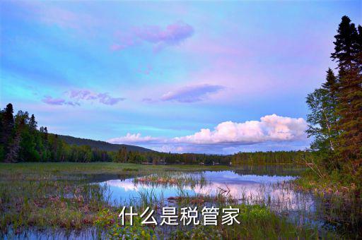 財(cái)稅大管家干什么用的，大管家金服是做什么的呀
