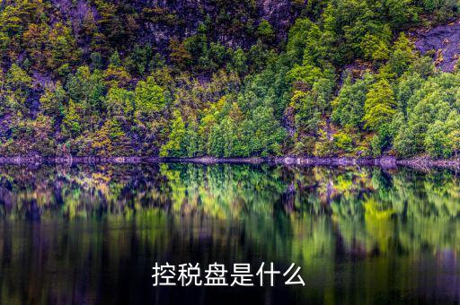 什么是金稅盤(pán) 什么是稅控盤(pán)，稅控盤(pán)的介紹