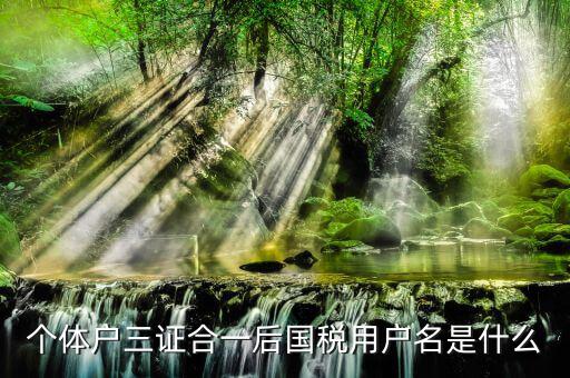 三證合一叫什么名字，個(gè)體戶三證合一后國(guó)稅用戶名是什么