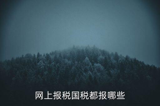 國稅云辦稅廳都報什么，你好我是新手我想問一下前輩國稅每月季年都報什么報表