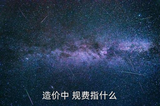 什么叫規(guī)費 稅金，規(guī)費是什么意思