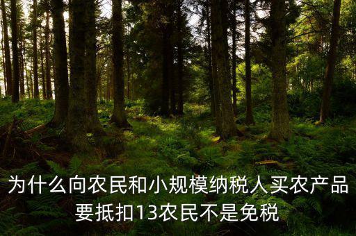 農(nóng)產(chǎn)品為什么要扣除，為什么向農(nóng)民和小規(guī)模納稅人買農(nóng)產(chǎn)品要抵扣13農(nóng)民不是免稅