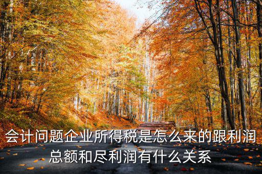 企業(yè)所得稅和什么有關(guān)，增值稅和企業(yè)所得稅有關(guān)系么