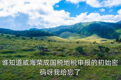 山東默認國稅密碼是什么，登錄國稅網(wǎng)上辦稅服務(wù)廳的用戶名和密碼是什么