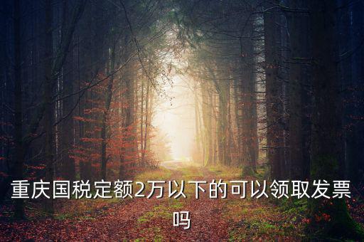 重慶用的什么定額發(fā)票，重慶國稅定額2萬以下的可以領(lǐng)取發(fā)票嗎